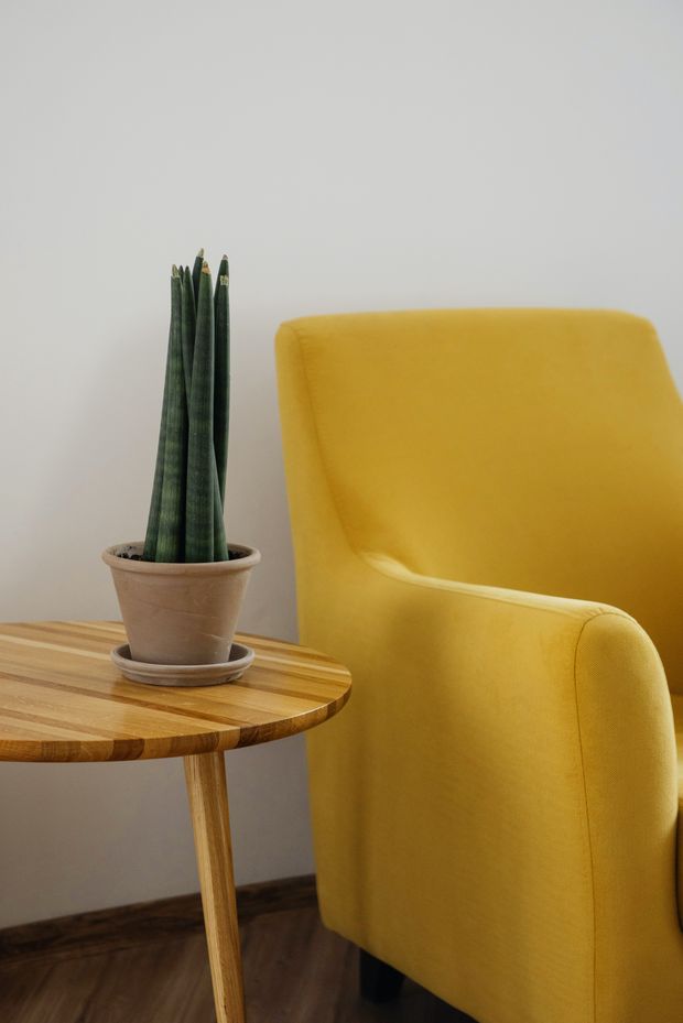 Sessel Gelb mit Holztisch