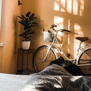 Fahrrad in Wohnung